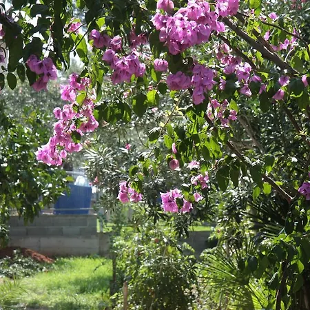 Agatha 公寓 圣菲利普雅科夫
